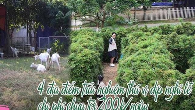 Chưa đến 200k/ngày, cả gia đình có trải nghiệm tại 4 nông trại giáo dục ngay sát Hà Nội