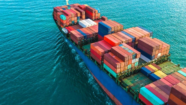 Vụ lừa đảo 36 container điều tại Italy: Những thông tin chưa từng công bố