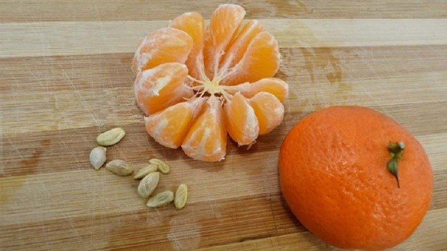 Hạt cam và 8 lợi ích bất ngờ khiến bạn giữ lại nó sau khi ăn