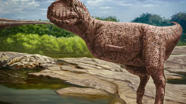 Phát hiện loài khủng long mặt chó bull, như phiên bản "nâng cấp" của khủng long bạo chúa