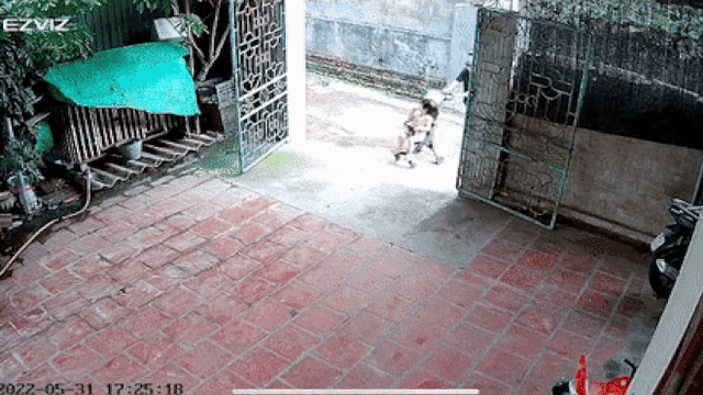 Hai bà cháu ngã đau điếng trước cổng nhà, hành động sau đó của bé gái gây chú ý