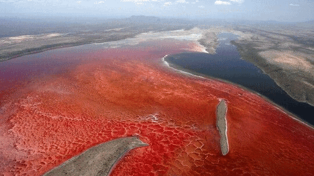 Hồ nước độc đáo của thế giới: Có màu hồng tuyệt đẹp nhưng chỉ 2 sinh vật chọn làm "nhà"