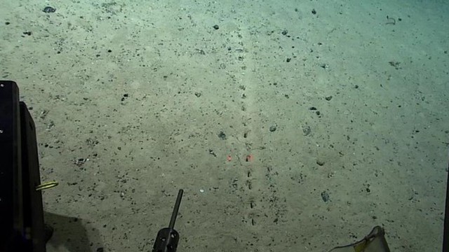 Những lỗ thủng kỳ lạ được phát hiện dưới đáy đại dương