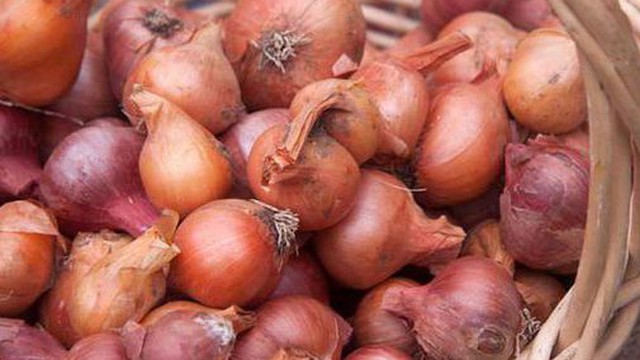 Làm sao để bảo quản hành tím khô được lâu, để cả năm cũng không thối mềm?