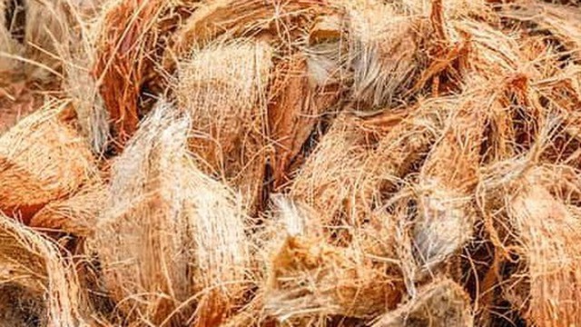 Dù Úc giảm nhập khẩu mặt hàng này 50% nhưng Việt Nam vẫn xuất khẩu đều, tăng 272%