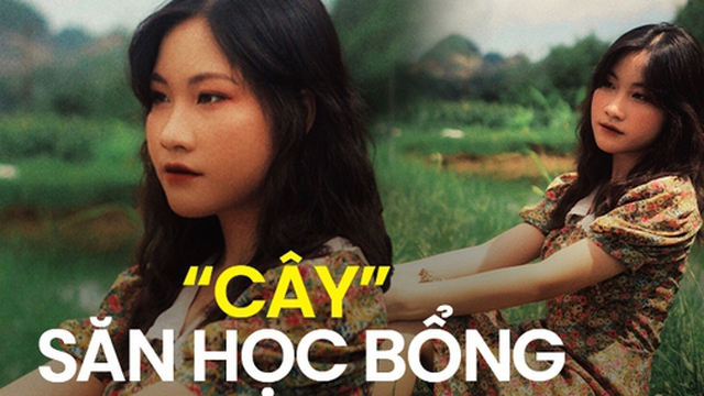 Nữ sinh được mệnh danh là "cây" săn học bổng: "Học sinh 3 tốt" cấp trung ương, IELTS 8.0
