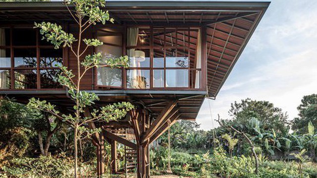 Ngôi nhà gỗ hình cái cây độc đáo ở Bali