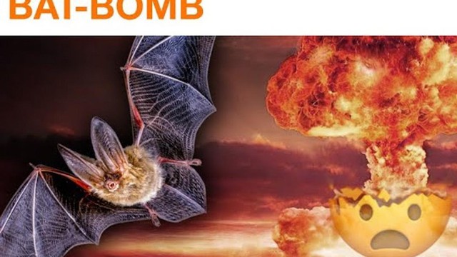 Vũ khí 'bom dơi' độc chiêu trong thế chiến thứ hai