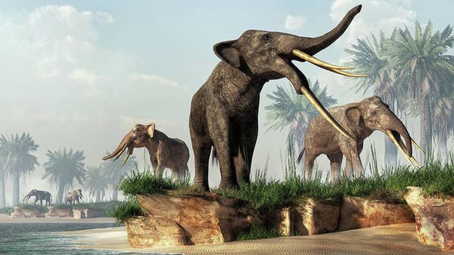 Giả thuyết về loài voi cổ đại tuyệt chủng