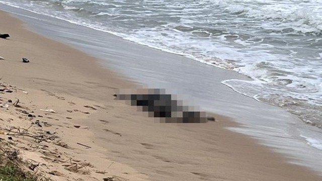 Phát hiện ít nhất 6 thi thể trôi dạt vào bờ biển Phú Quốc