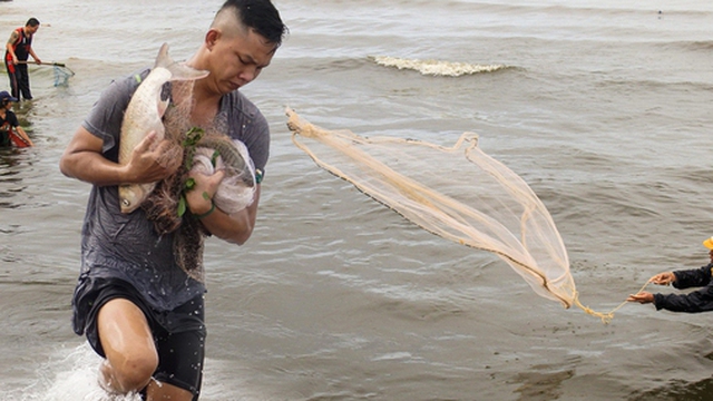 Nghề độc chỉ có sau bão ở Đà Nẵng: Ra biển "săn" cá nước ngọt "khủng"