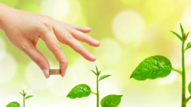 Chuyên gia chỉ cách xuống tiền đầu tư trong năm 2023