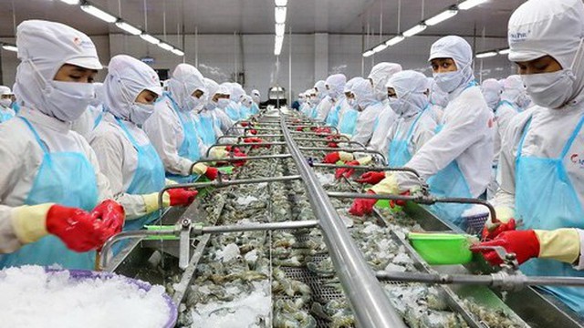 Kỷ lục xuất khẩu 11 tỷ USD, doanh nghiệp thủy sản ‘hái ra tiền’ thế nào?