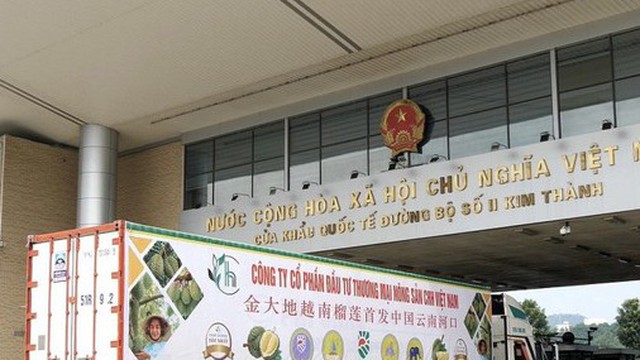 Hoa quả Việt ùn ùn xuất sang Trung Quốc trong 2 ngày Tết