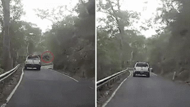 Đang đi thì tài xế mô tô bay lên như trong phim hành động, camera hành trình tiết lộ nguyên nhân