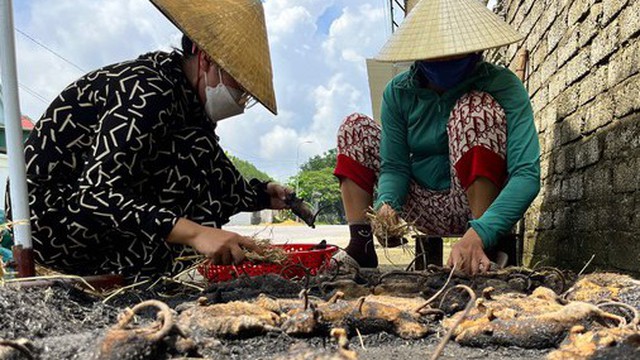 Chợ chuột lớn nhất Nghệ An, mỗi ngày tiêu thụ cả tấn
