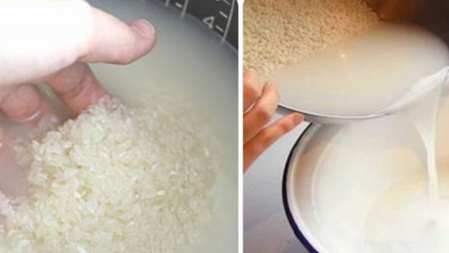 Vì sao nên vo gạo trước khi nấu cơm?