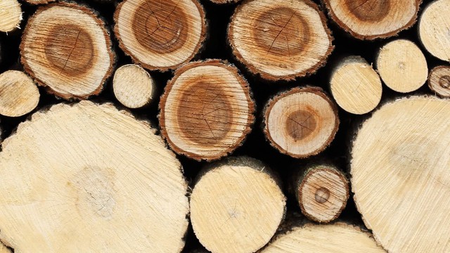 Một mặt hàng của Việt Nam khiến Mỹ mạnh tay chi hơn 8,6 tỷ USD để gom phục vụ nhu cầu trong nước