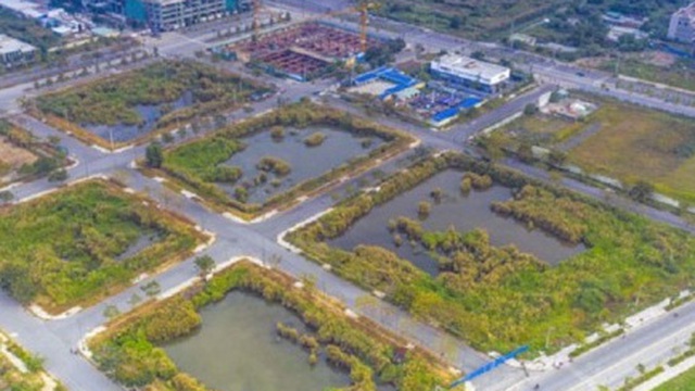 Luật Đất đai sửa đổi: Có trị được bệnh đấu giá đất xong bỏ hoang?