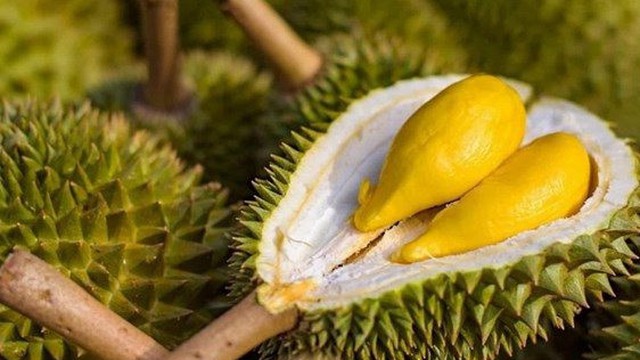 Xuất khẩu "trái cây vua" sang Trung Quốc tăng nóng gần 300% chỉ trong 2 tháng đầu năm, người Thái lo sợ mất ngôi 'quán quân' vào tay Việt Nam