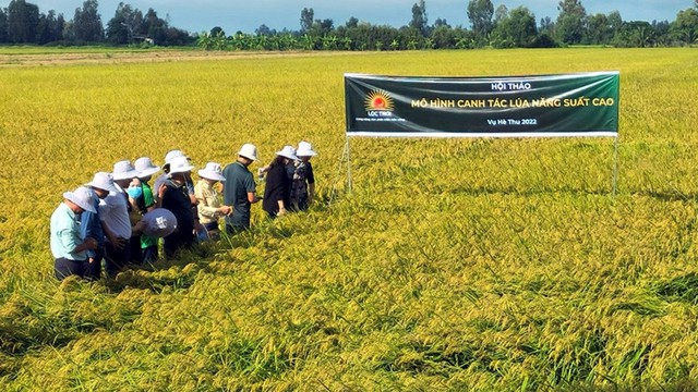 Tập đoàn nông sản của Việt Nam đặt mục tiêu 1 tỷ USD doanh thu vào năm 2024