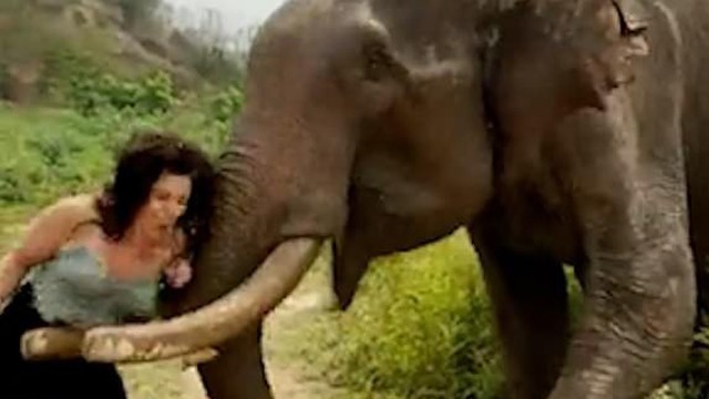 Người phụ nữ gánh hậu quả khi trêu voi bằng trái chuối