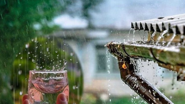 Uống nước mưa liệu có an toàn?