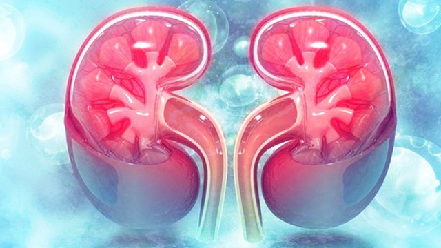 2 loại nước nếu uống quá nhiều khi trời nắng nóng sẽ khiến thận bị tổn thương nhanh chóng