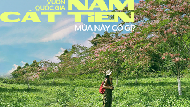 Vườn quốc gia Nam Cát Tiên đang xuất hiện cảnh quan gì mà người TP.HCM kéo nhau xuống Đồng Nai cho bằng được?