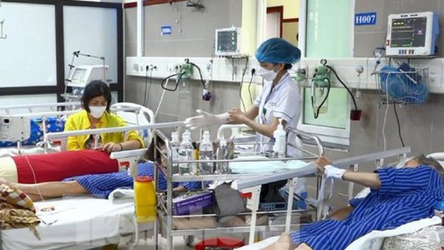 Lạng Sơn: 3 người cấp cứu vì ăn côn trùng lạ