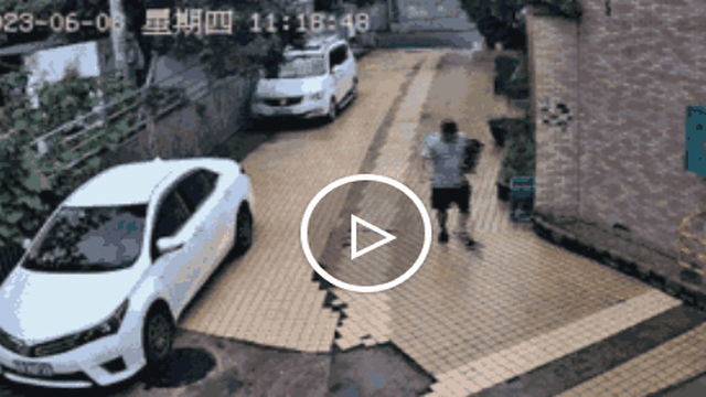 Rắn lao ra từ góc tường tấn công người đi bộ