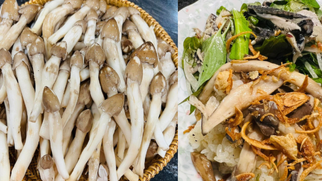 Nấm mối chưa vào mùa nhưng đã được chị em ''săn lùng''