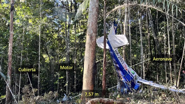 Làm sao 4 đứa trẻ sống sót khi máy bay rơi xuống Amazon?