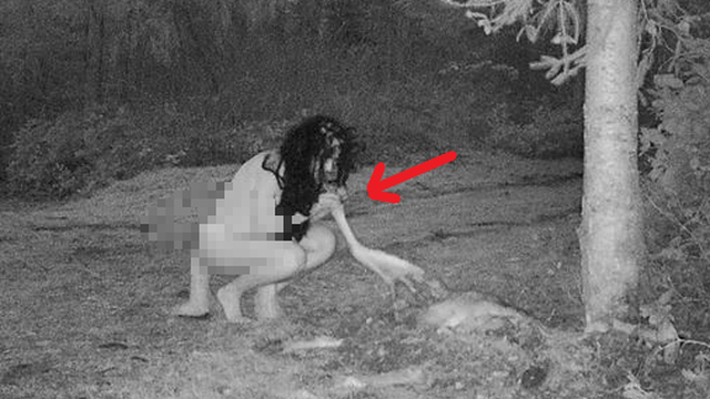 Thấy xác hươu ở trong vườn, người phụ nữ đặt camera thì chứng kiến cảnh tượng đáng sợ