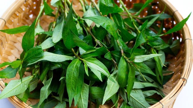 Thực hư tin đồn ăn rau răm làm giảm ham muốn, gây vô sinh