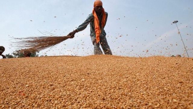 Sau dầu thô và khí đốt, Nga bất ngờ tuyên bố cung cấp thêm một mặt hàng giá rẻ cho các quốc gia “thân thiện”, là mặt hàng Nga xuất khẩu đứng đầu thế giới