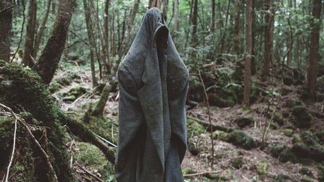 “Cánh rừng tự sát” của Nhật Bản hiện tại thế nào sau nhiều năm gây ám ảnh?