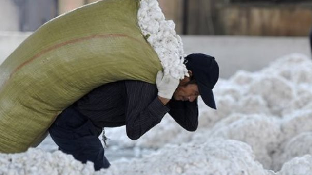 Một loại nông sản từ Úc đang ồ ạt tràn vào Việt Nam với giá rẻ bất ngờ: Chi mạnh tay “gom hàng” trong 8 tháng đầu năm, Việt Nam nhập khẩu đứng thứ 3 thế giới