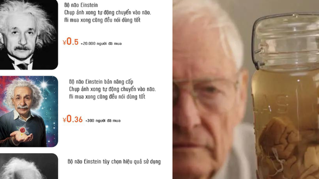 "Bộ não Einstein" là gì mà nhiều người đổ xô mua giá rẻ bèo, có nơi bán đến hơn 20.000 bản?