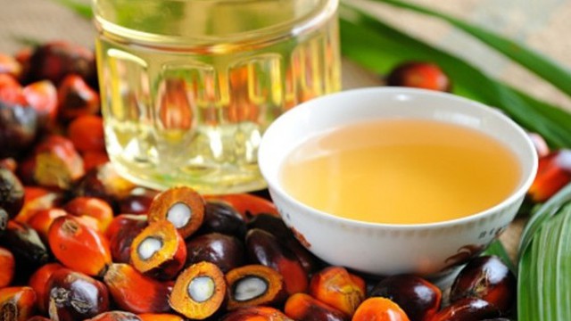 Malaysia tăng cường xuất khẩu một nhu yếu phẩm sang Trung Quốc: EU liệu có thất bại?
