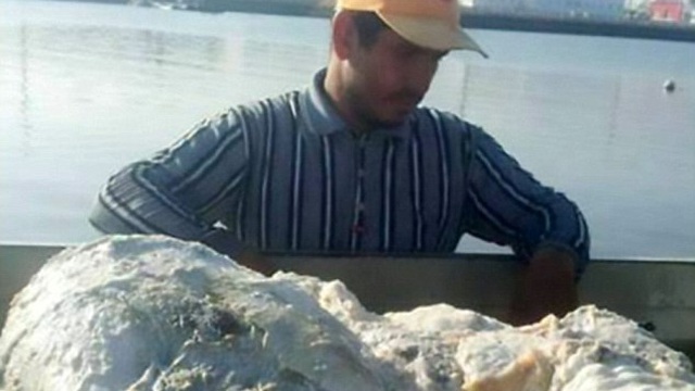 Quăng lưới đánh cá, người ngư dân may mắn vớ được "báu vật" nặng 60kg, trị giá 57 tỉ đồng