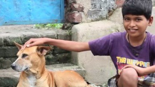 Kỳ lạ sở thích của cậu bé 10 tuổi suốt ngày lang thang tìm chó cái để bú sữa