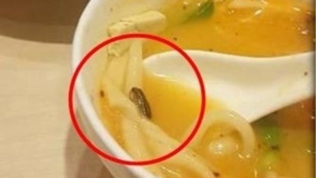 Bát mỳ "lềnh phềnh" xác gián và thái độ "bá đạo" của chủ quán