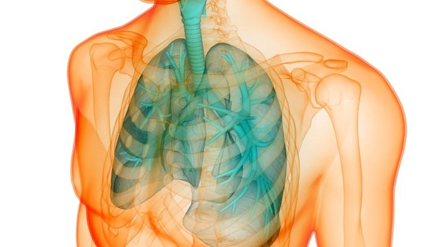 8 dấu hiệu cảnh báo phổi đang có vấn đề, bạn không được chủ quan!