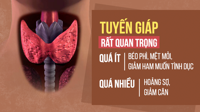 Tuyến giáp quan trọng và lớn nhất cơ thể: Tiến sĩ Mỹ chỉ cách bảo vệ hiệu quả không ngờ