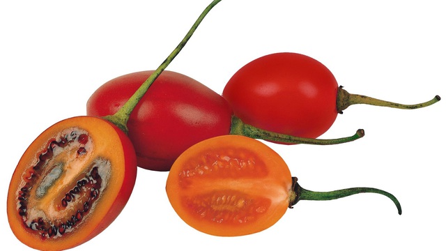 Cà chua giá 1 triệu đồng/kg gây sốt: Có gì bổ dưỡng mà giá cao "ngất ngưởng"?