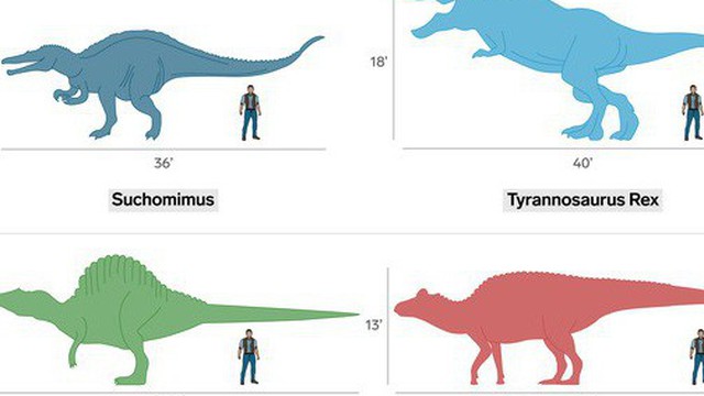 Jurassic World: Đây là kích cỡ thực của các loài khủng long nếu so với con người