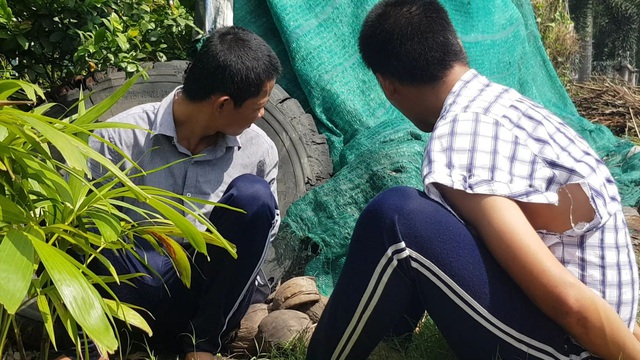 Hàng trăm học viên Cơ sở Cai nghiện ma túy tỉnh Tiền Giang hỗn chiến: 12 người bị thương