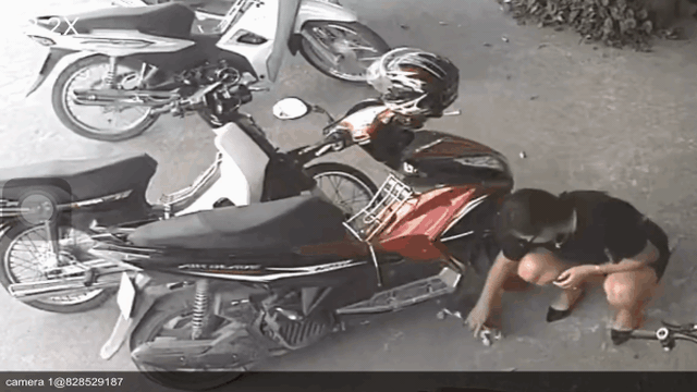 CLIP: Người phụ nữ nắm cổ con mèo, nhét vào... chỗ hiểm mang đi khiến tất cả ngỡ ngàng