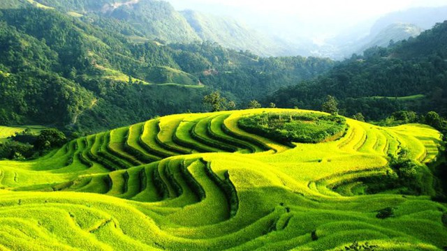 Thanh xuân của bạn đang bỏ lỡ những gì, quẳng gánh lo đi và tận hưởng thôi!